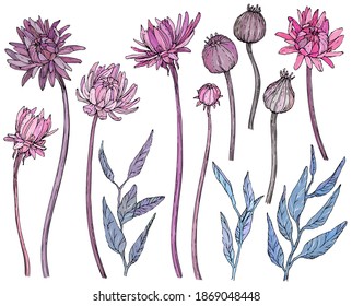 Collection of hand drawn flowers and brunchs. Vector illustrations.