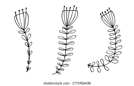 Collection of hand drawn flowers. Doodle illustration. Simple floral elements isolated on white background