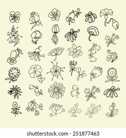 Collection of hand drawn flowers. Elements for your design. Pastel background. Vector illustration.