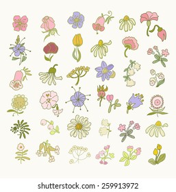 Collection of hand drawn flowers. Elements for your design. Pastel background. Vector illustration.