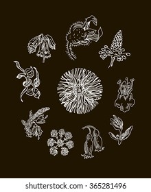 Collection of hand drawn flowers. Elements for your design. Black background. Vector illustration.