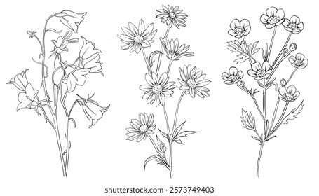 Coleção de flores desenhadas à mão e ervas. Ilustração de planta botânica. Vintage ervas medicinais esboço conjunto de tinta mão desenhado ervas médicas e plantas esboço esboço.