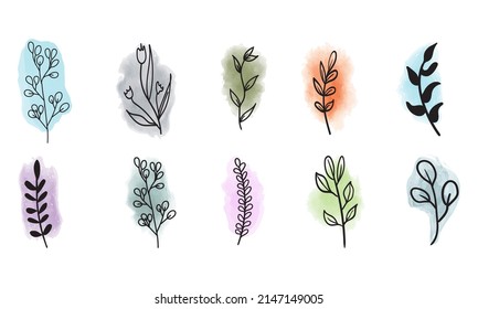 Collection of hand drawn flowers on watercolor stains
