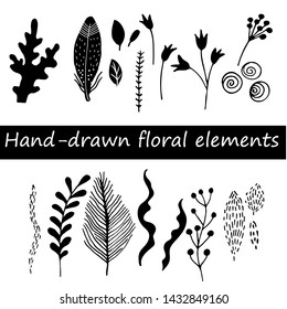 Collection of hand drawn flowers and plant