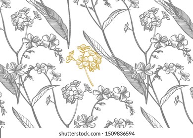 Collection of hand drawn flowers and plants. Botany. Set. Vintage flowers. Black and white illustration in the style of engravings. Card template on romantic background. Graphic illustration