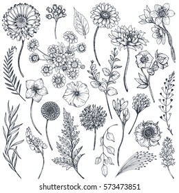 Collection Of Hand Drawn Flowers And Plants. Monochrome Vector Illustrations In Sketch Style. 