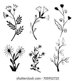 Collection of hand drawn flowers and plants. Monochrome vector illustrations in sketch style.