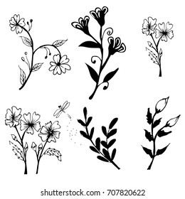 Collection of hand drawn flowers and plants. Monochrome vector illustrations in sketch style.