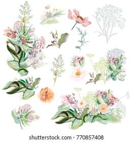 Collection of hand drawn flowers in watercolor style
