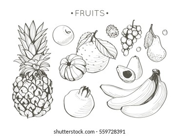 Collection of hand drawn fruits, vector set in vintage style. Sketches of different food for menu or book of recipes, isolated on white background