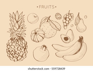 Collection of hand drawn fruits, vector set in vintage style. Sketches of different food for menu or book of recipes, isolated