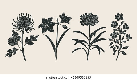 Collection of hand drawn garden flowers. Chrysanthemum, amaryllis, clivia, azalea