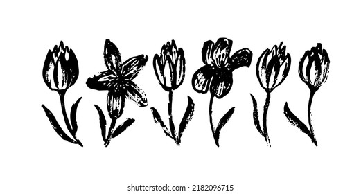 Collection of hand drawn graphic tulips. Vector set of beautiful silhouettes flowers tulips. Black vector organic brushstrokes.