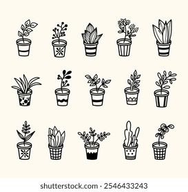 Collection of hand drawn houseplant 