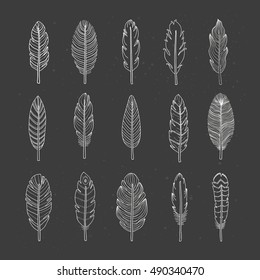 Collection of hand drawn indian boho feathers isolated on the blackboard.