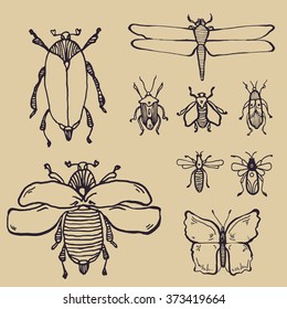 collection of hand drawn insects