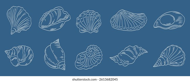 Collection hand drawn isolated vector set of seashells. Seafood sketch. Collage aesthetics. Vintage summer vector flat illustrations.