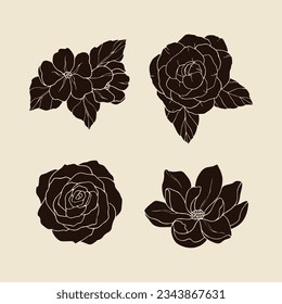 Collection of hand drawn jasmine, camellia, rose, magnolia