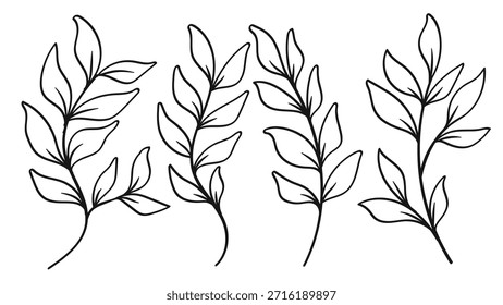 Una colección de ramas de hojas dibujadas a mano con detalles intrincados. Ilustración vectorial