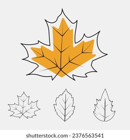 collection of hand drawn leaf illustrations