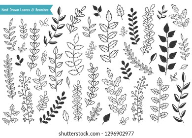 Collection of hand drawn leaves and branches on white background, vector eps10 illustration