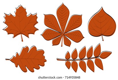 Collection of hand drawn leaves isolated on white background. Vector.