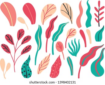 Colección de hojas dibujadas a mano y plantas ilustración vectorial en el estilo de doodle de tendencia aislado en un fondo blanco