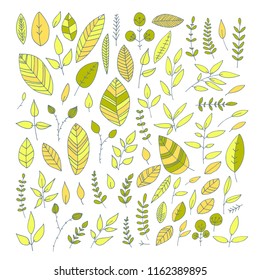 Collection of hand drawn leaves. Set of hand drawn vector nature decorative elements for your design.  Leaves and branches. Doodle style. 