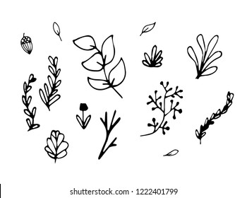 Collection of hand drawn leaves vector