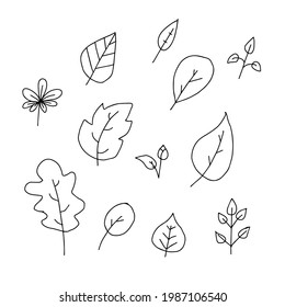 Collection of hand drawn leaves for winter and autumn decoration. Doodle vector illustration. For the design of cards, posters, textiles. Isolated on white background