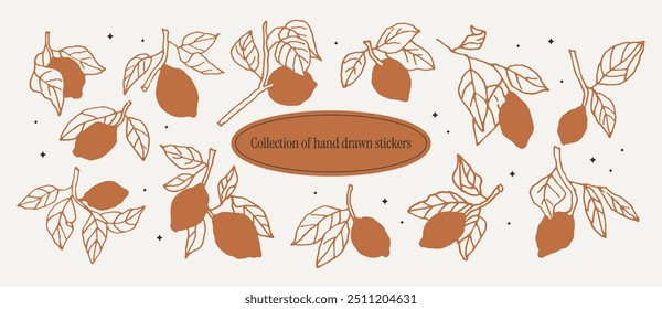 Sammlung von handgezeichneten Zitronen. Vintage italienische Küsten Sommer Clipart doodles im Retro-Stil. Unvollkommene, gekrümmte Linien in Tinte gezeichnet. Monogramm inspiriert von der Dolce Vita Ästhetik.
