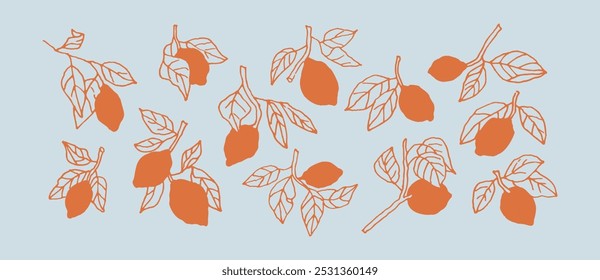 Coleção de limões de linha desenhada à mão. Clipart de verão vintage rabisca em estilo retrô. Imperfeito, linhas curvas desenhadas. Ilustrações de tinta espetaculares para logotipos, convites, cartões, saudações e muito mais.	