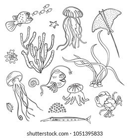 Collection Hand Drawn Marine Animals Plants Stock Vector (Royalty Free)  1051395833 | Shutterstock
