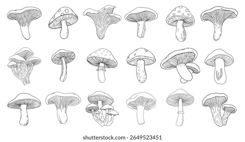Collection of hand drawn mushrooms. Mushroom icons set. Hand drawn illustration sketch.	
