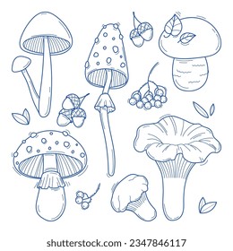 Collection of hand drawn mushrooms vector illustrations. Forest plants sketches. Perfect for recipes, menu, label, icon, packaging. Vintage mushrooms outlines. Botanical set