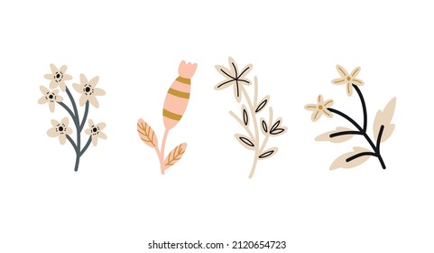 Colección de elementos naturales dibujados a mano de flores y plantas