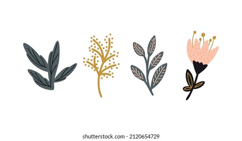 Collection of hand drawn natural elements of flowers and plants