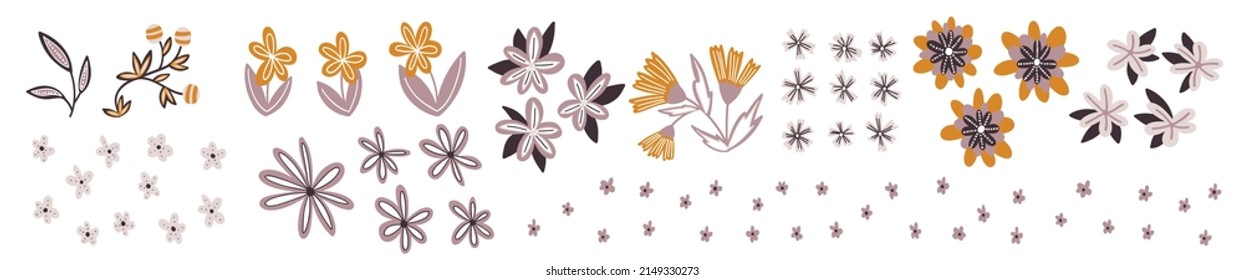 Collection of hand drawn natural elements of flowers and plants