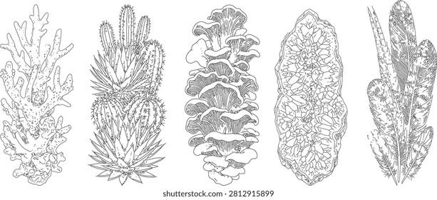 Collection hand drawn nature
