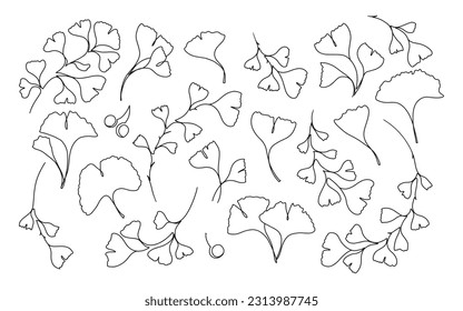 Collection of hand drawn one line Ginkgo Biloba leaves and branches. Floral elements for wedding invitations, posters, web, etc.