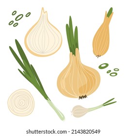 Collection of hand drawn onion. Bundle of fresh delicious vegan diet vegetarian products, wholesome healthy food, cooking ingredients. Flat cartoon style on a white background. Vector illustration