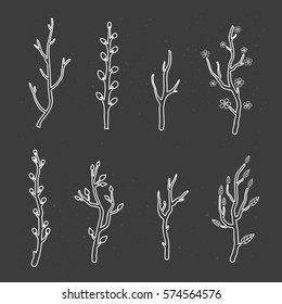 Collection of hand drawn outline tree twigs and branches isolated on the blackboard.
