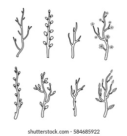 Collection of hand drawn outline tree twigs and branches isolated on white background.