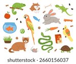 Collection of hand drawn pets. Cartoon set of cute domestic animals and accessories including parrot, snake, turtle, bunny, hamster, chameleon, ferret, fish, lizard, food and toys. Vector illustration