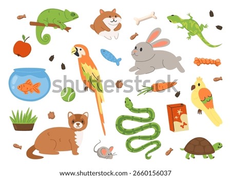 Collection of hand drawn pets. Cartoon set of cute domestic animals and accessories including parrot, snake, turtle, bunny, hamster, chameleon, ferret, fish, lizard, food and toys. Vector illustration