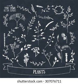 Collection of hand drawn plants, flowers and tree branches silhouettes. Isolated vector.