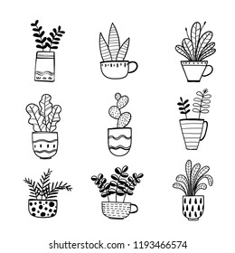 Collection of hand drawn plants in a pot.  Vector illustrations in sketch doodle style.
