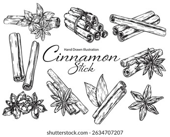 Collection of hand drawn rolled cinnamon stick and anise outline drawing illustration
