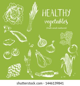 Collection of hand drawn rough simple sketches of different kinds of vegetables. Vector hand drawn vintage set engraving illustration. Isolated on on green background
