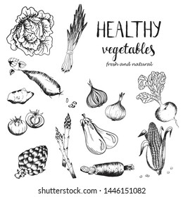 Collection of hand drawn rough simple sketches of different kinds of vegetables. Vector hand drawn vintage set engraving illustration. Isolated on the white background